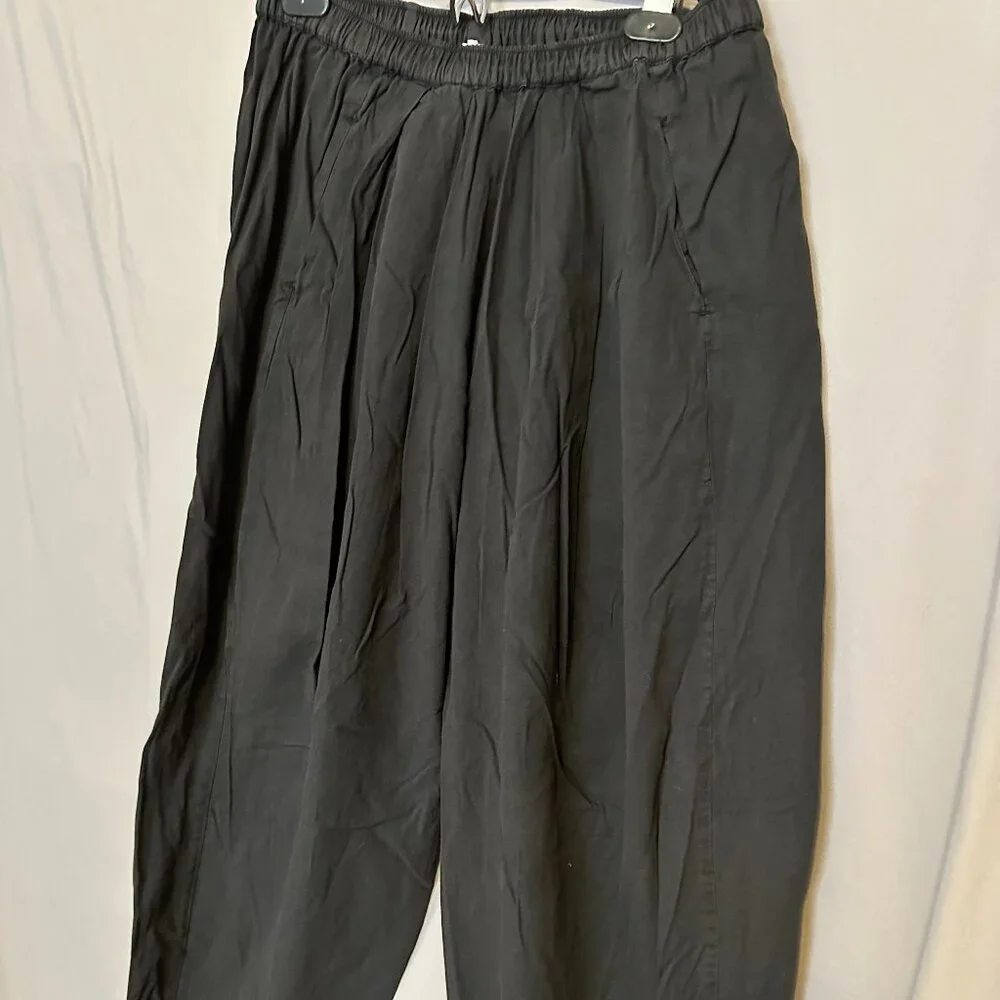 Free People Baggy Pants - Picture 1 of 3